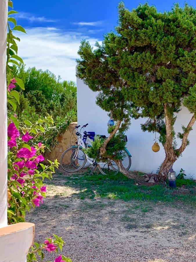 Meridium Formentera By Tentol Hotels Playa Migjorn Exteriér fotografie